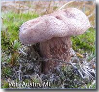 Screen Shot 2015-09-04 at 7.01.17 PM