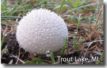 Screen Shot 2015-09-04 at 7.29.42 PM