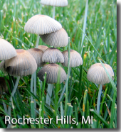 Screen Shot 2015-09-05 at 4.43.46 PM