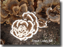 Screen Shot 2015-09-05 at 8.13.16 AM