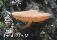 Screen Shot 2015-09-11 at 12.27.00 PM