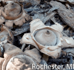 Screen Shot 2015-10-28 at 4.21.23 PM