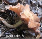 Screen Shot 2015-11-05 at 3.20.13 PM