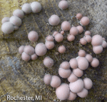 Screen Shot 2015-12-30 at 12.21.13 PM