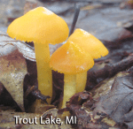 Screen Shot 2016-01-13 at 11.42.58 AM