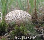 Screen Shot 2016-01-13 at 2.42.57 PM