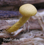 Screen Shot 2016-01-28 at 11.55.30 AM