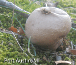 Screen Shot 2016-01-28 at 9.23.26 AM