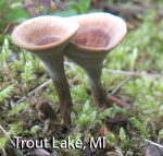 Screen Shot 2016-01-28 at 9.30.40 AM