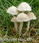 Screen Shot 2016-02-25 at 10.28.32 AM