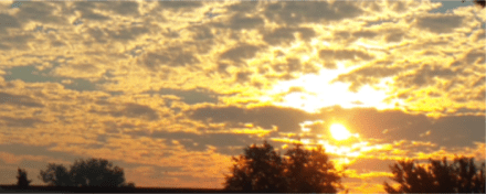 Screen Shot 2016-03-22 at 2.21.31 PM