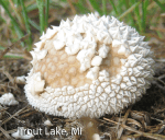 Screen Shot 2016-03-15 at 4.02.04 PM