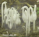 Screen Shot 2016-03-15 at 4.42.33 PM