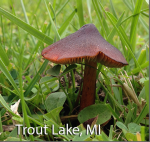 Screen Shot 2016-03-26 at 12.56.23 PM