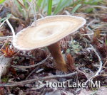 Screen Shot 2016-03-28 at 6.13.10 AM