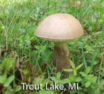 Screen Shot 2016-07-18 at 6.16.01 PM