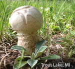 Screen Shot 2016-07-19 at 4.03.01 PM