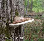 Screen Shot 2016-08-23 at 4.03.14 PM