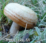 screen-shot-2016-10-20-at-4-13-20-pm