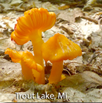 screen-shot-2016-12-15-at-12-14-47-pm