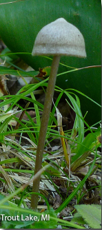 screen-shot-2017-02-18-at-3-46-32-pm